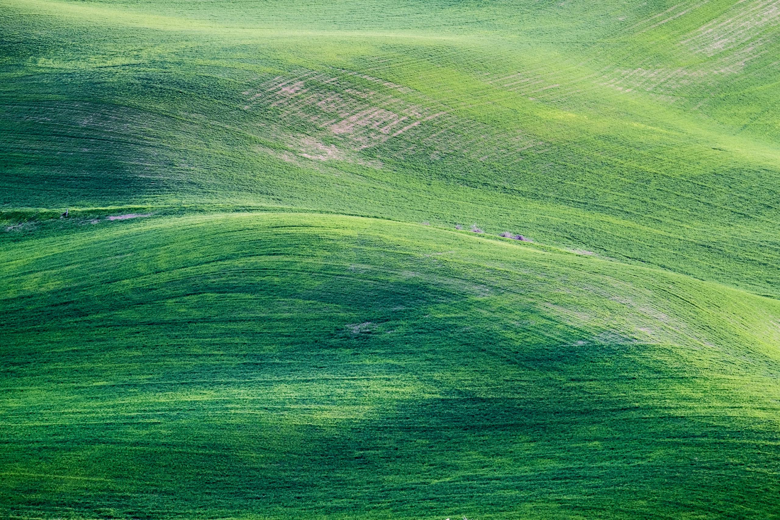 Expansive view of vibrant green rolling hills showcasing natural beauty and serenity.
