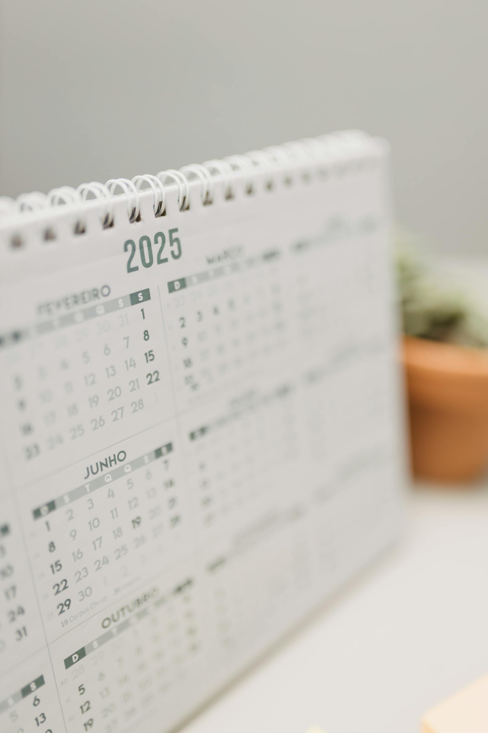 Close-up of a 2025 desk calendar beside a potted succulent on a desk.